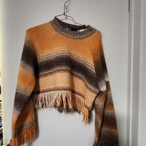 Viral Zara Multicolor Striped Fringe Sweater